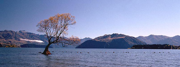 LakeWanaka
