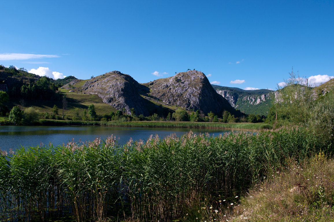 MONT2172