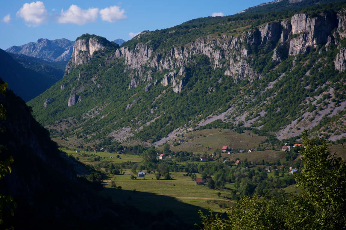 MONT2183