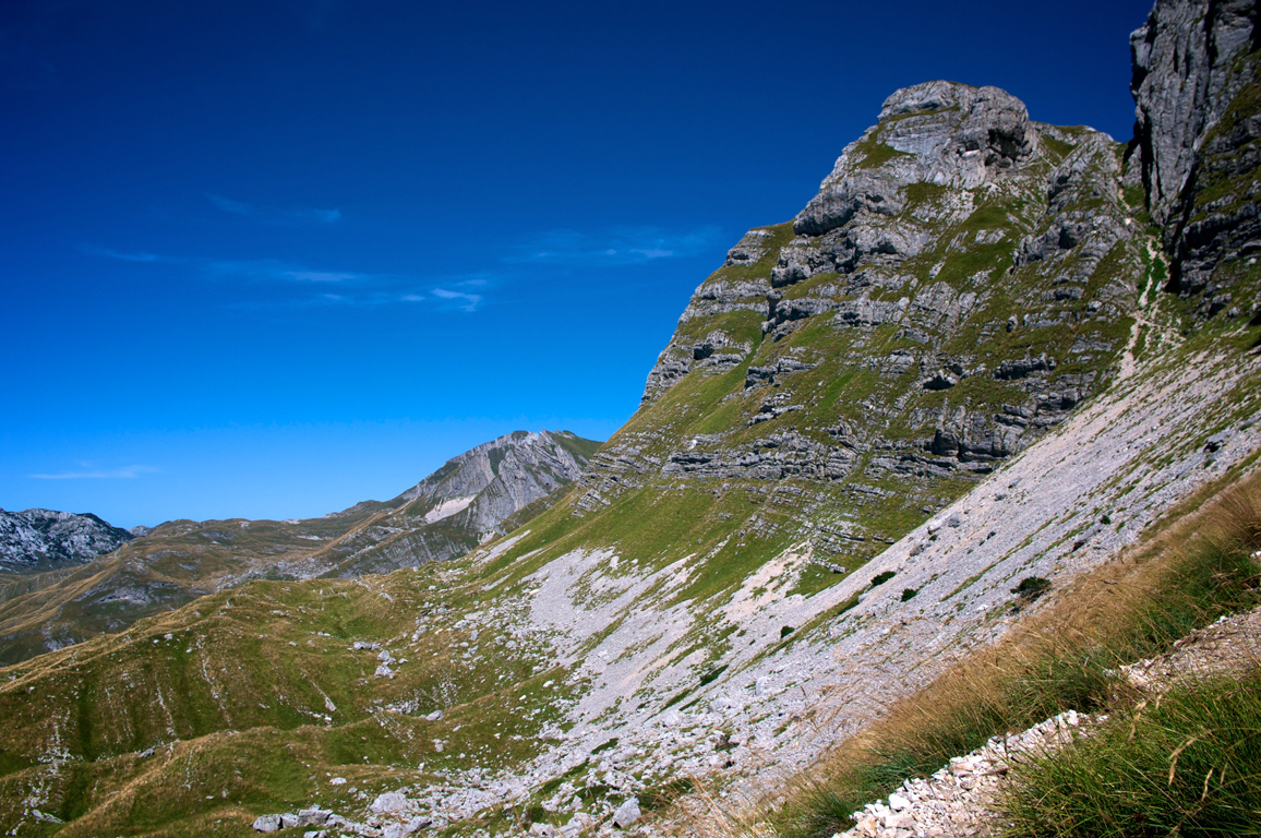 MONT2219