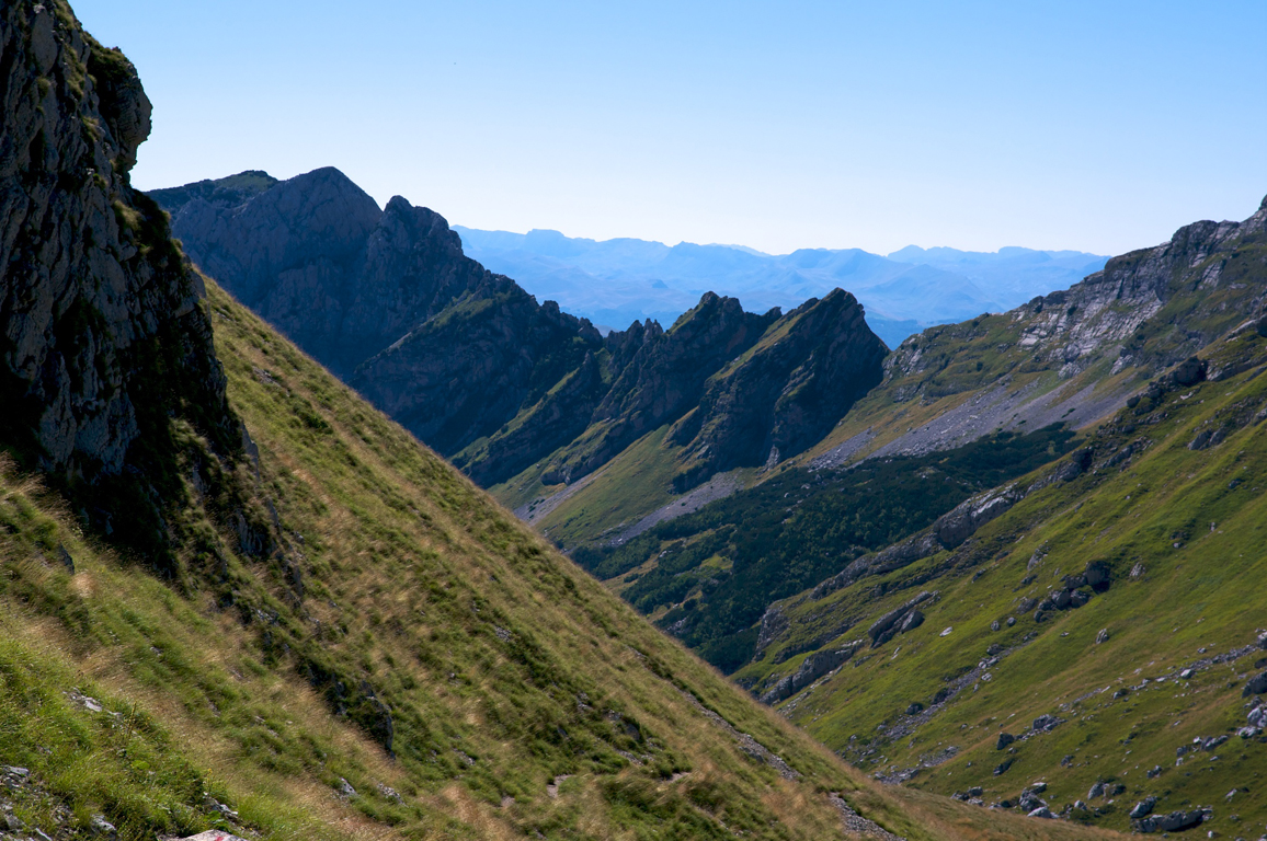 MONT2227
