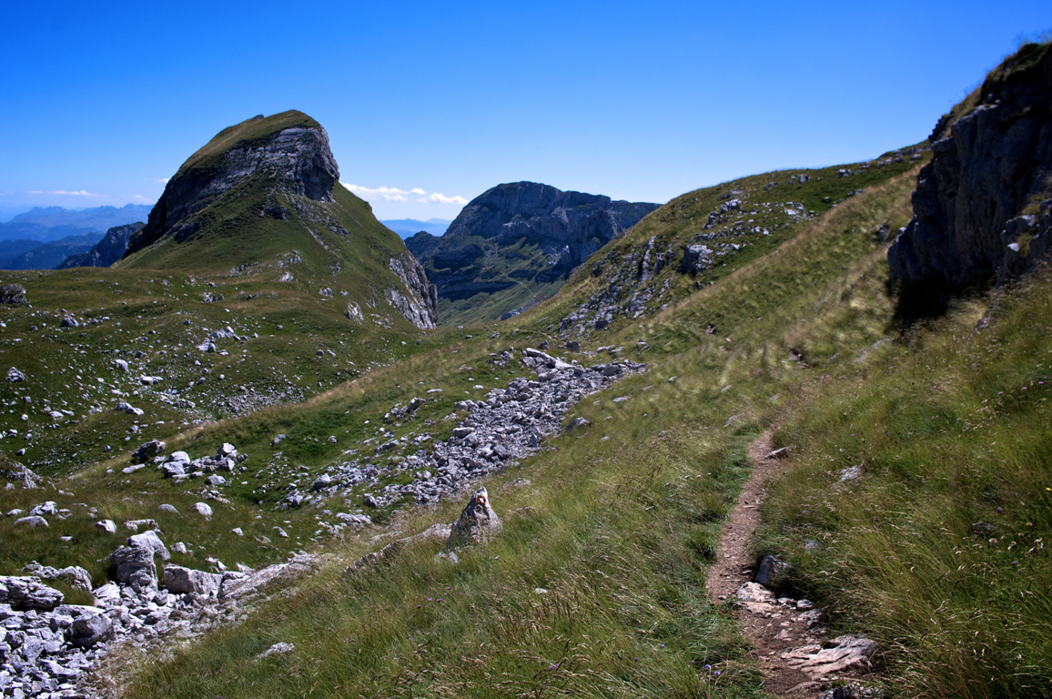 MONT2295