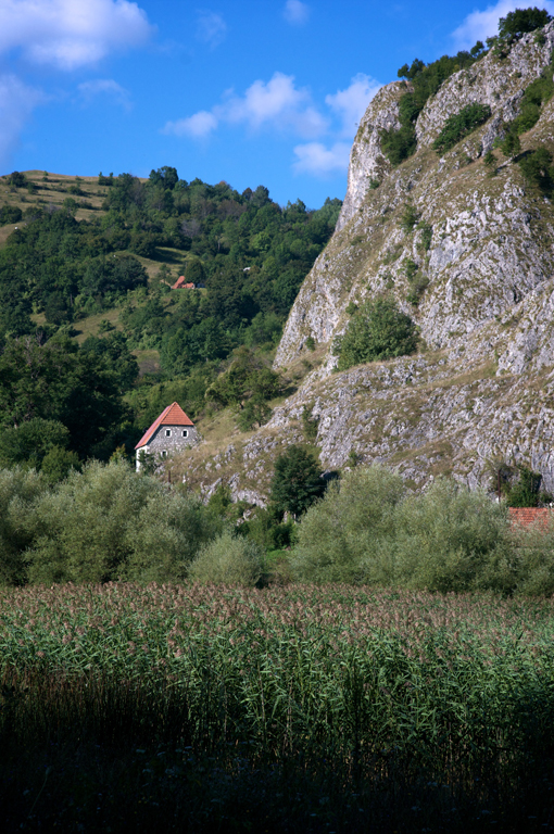 MONT2356