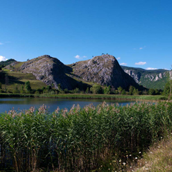 MONT2172